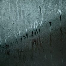 Condensation In My Property?