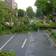 Storm Damage in Rental Properties – A Landlord’s perspective